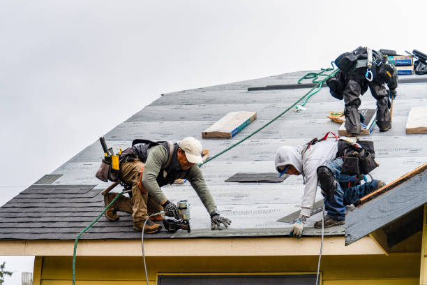 Professional Gutter Installation technician working in Lake Harbor, FL